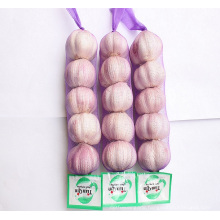 import fresh chinese 3p 4p 5p package 10kg carton pure white garlic